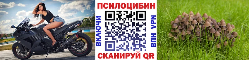 Псилоцибиновые грибы прущие грибы  Сергач 